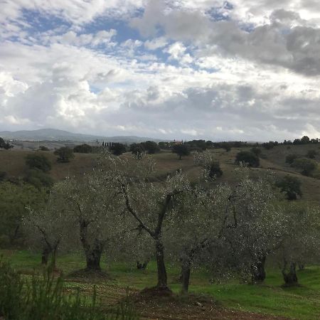 Podere Pini Magliano in Toscana Dış mekan fotoğraf