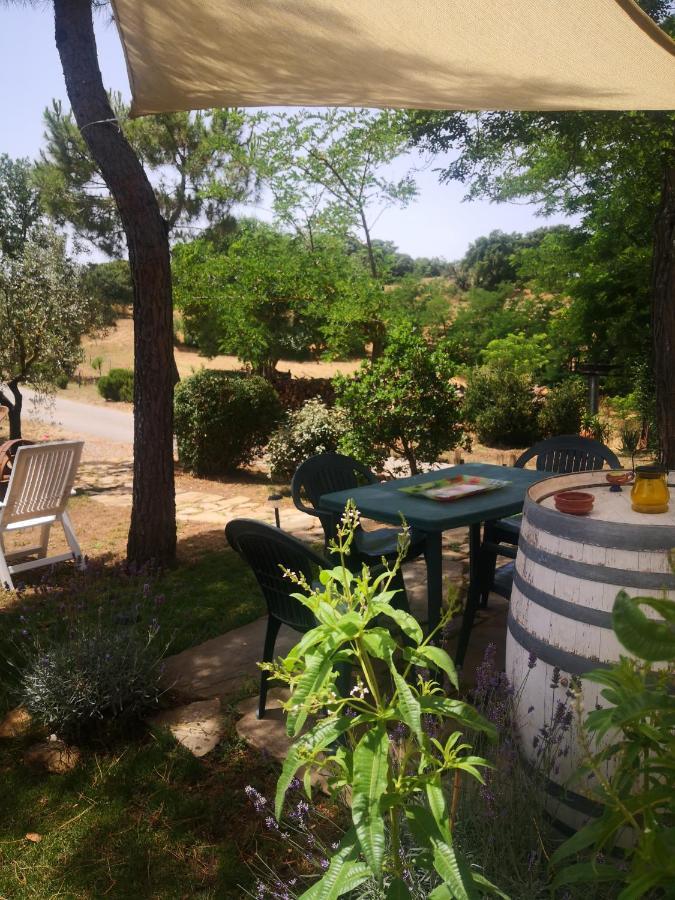 Podere Pini Magliano in Toscana Dış mekan fotoğraf