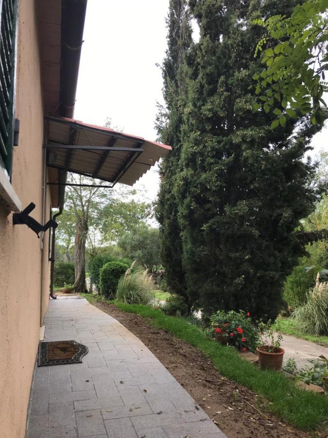 Podere Pini Magliano in Toscana Dış mekan fotoğraf